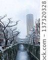 Vertical composition of snow-covered Meguro River and Nakameguro Atlas Tower (Meguro Ward, Tokyo) 137320328