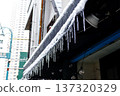 Icicles seen in Nakameguro shopping district on a snowy day (Meguro Ward, Tokyo) 137320329