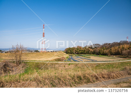 京都府京田邊市木津川岸邊的菜地 137320756