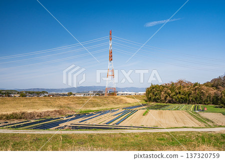 京都府京田邊市木津川岸邊的菜地 137320759