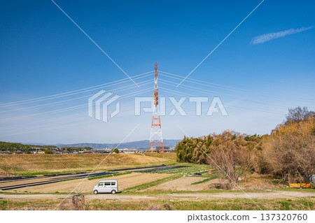 Vegetable fields on the banks of the Kizu River, Kyotanabe City, Kyoto Prefecture 137320760