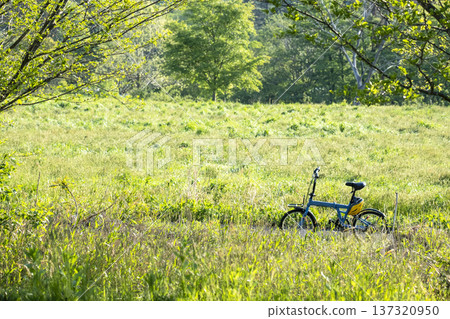 清新的綠意與初夏的騎乘形象（蒜山高原） 137320950