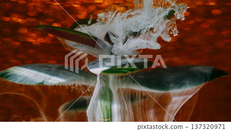 Blur smoke fluid. Succulent blob. White ink spill on green plant leaves. Nature art shimmering water red glow abstract color background. Blur smoke fluid. Succulent blob. White ink spill on green plant leaves. Nature art shimmering water red glow abstract color background. 137320971