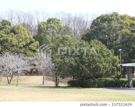 Nishishin Central Park, Nishi Ward, Kobe City 137321424