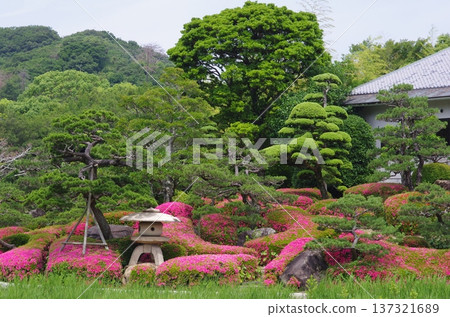 南方天堂 1 137321689