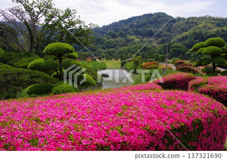 Southern Paradise 2 137321690