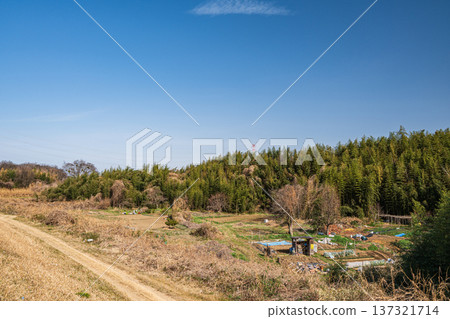Farm on the banks of the Kizu River, Kyotanabe City, Kyoto Prefecture Farm on the banks of the Kizu River, Kyotanabe City, Kyoto Prefecture 137321714