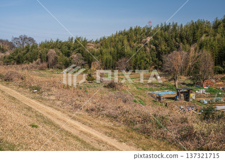 Farm on the banks of the Kizu River, Kyotanabe City, Kyoto Prefecture Farm on the banks of the Kizu River, Kyotanabe City, Kyoto Prefecture 137321715