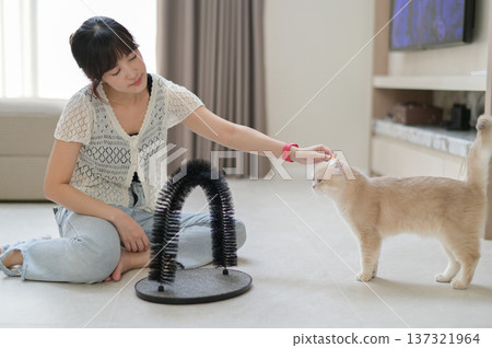 Asian woman feeling happy playing with pet cat inside living room home improving mental health and general wellness creating friendly environment with scratching toy Asian woman feeling happy playing with pet cat inside living room home improving mental health and general wellness creating friendly environment with scratching toy 137321964