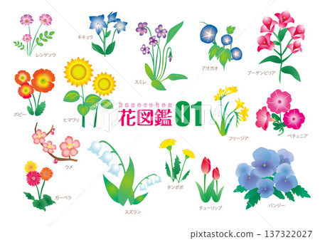Flower encyclopedia 01_Illustration material Flower encyclopedia 01_Illustration material 137322027