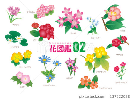 Flower encyclopedia 02_Illustration material Flower encyclopedia 02_Illustration material 137322028