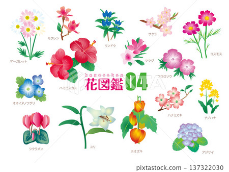 Flower encyclopedia 04_Illustration material Flower encyclopedia 04_Illustration material 137322030