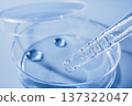 Analyzing liquid samples in petri dish with pipette 137322047