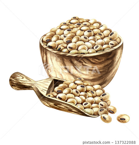 Soybeans in a wooden bowl and scoop. Hand-drawn watercolor illustration. Perfect for creating product labels, posters, banners, menus, and more. 137322088