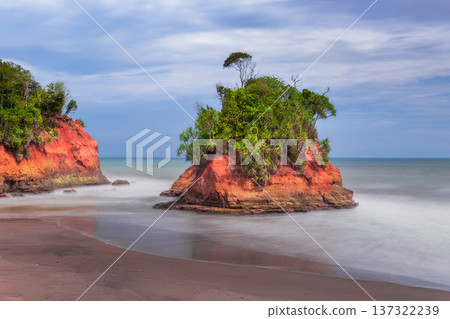Beautiful morning view indonesia Panorama Landscape paddy fields with beauty color and sky natural light 137322239