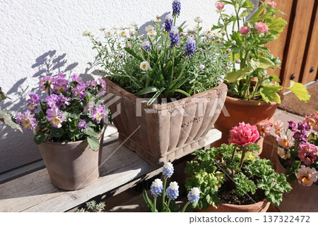 入口前種植花卉和盆栽 入口前種植花卉和盆栽 137322472