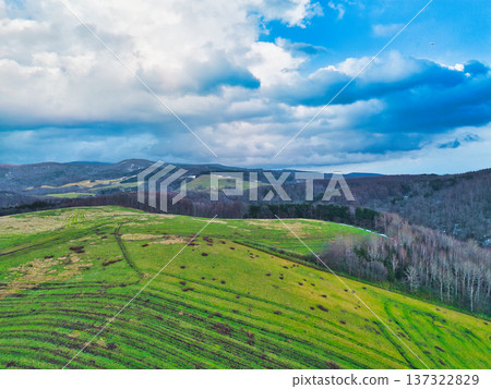 Aerial walk Aerial walk 137322829