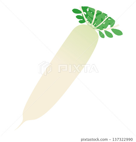 蘿蔔向量圖標，葉菜類蔬菜插圖素材 137322990