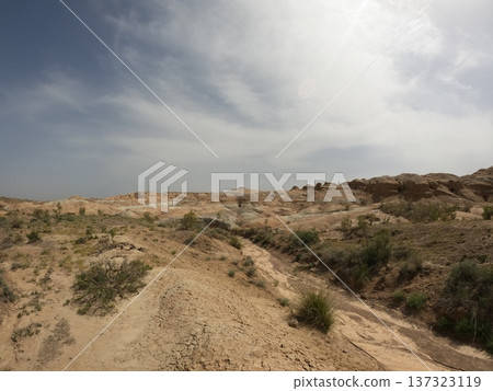 Wonderful Landscape Of The Desert Wonderful Landscape Of The Desert 137323119