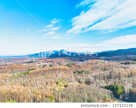 Aerial walk Aerial walk 137323138