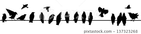 Silhouette of starlings on wires. Hand drawn. Not AI, vector illustration. Silhouette of starlings on wires. Hand drawn. Not AI, vector illustration. 137323268