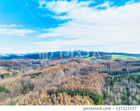 空中步行 137323317