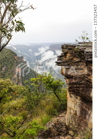 Scenic landscape view from Anvil Hill Lookout in the Blue Mountains National Park overlooking rugged sandstone cliffs, forested valleys and expansive bushland Scenic landscape view from Anvil Hill Lookout in the Blue Mountains National Park overlooking rugged sandstone cliffs, forested valleys and expansive bushland 137323457