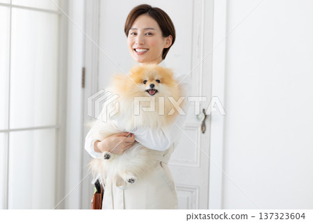 Groomer Groomer holding a Pomeranian 137323604