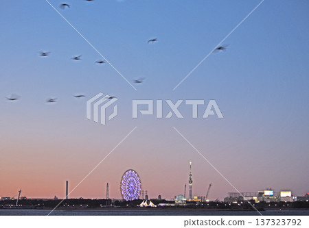 黑暗的天空 黑暗的天空 137323792