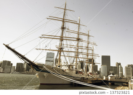 Sailing ship returns to port Sailing ship returns to port 137323821