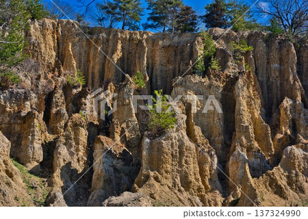 "Awa Earth Pillars" in Awa City, Tokushima Prefecture "Awa Earth Pillars" in Awa City, Tokushima Prefecture 137324990
