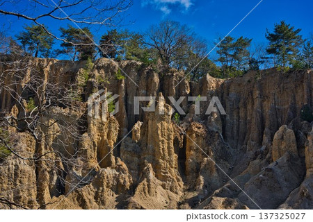 德島縣阿波市的“阿波地柱” 137325027