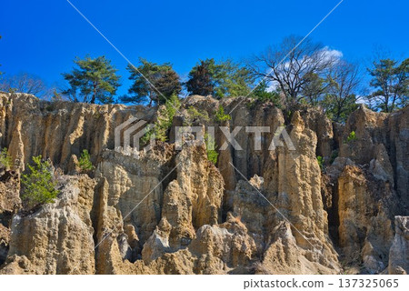 "Awa Earth Pillars" in Awa City, Tokushima Prefecture "Awa Earth Pillars" in Awa City, Tokushima Prefecture 137325065