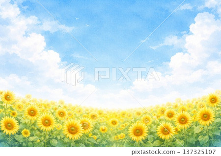 盛開的向日葵，藍天，大地，水彩畫 137325107