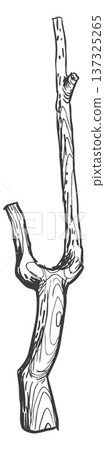 Hand drawn timber stick. Wooden dry branch 137325265