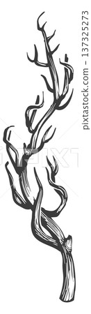 Tree branch drawing. Natural plant dry element 137325273