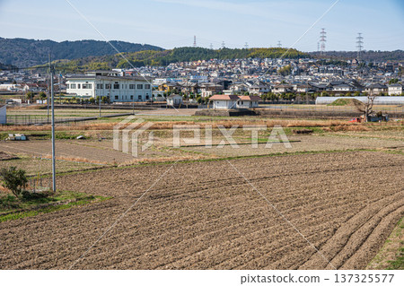 Spring rural scenery, Kyotanabe City, Kyoto Prefecture 137325577