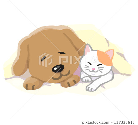 狗和貓一起睡覺 狗和貓一起睡覺 137325615