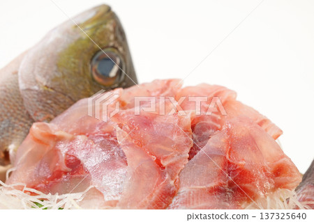 Isaki生魚片 137325640