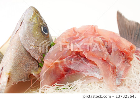 Isaki生魚片 137325645