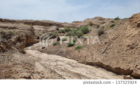 Beautiful Landscape Of The Desert Beautiful Landscape Of The Desert 137325924