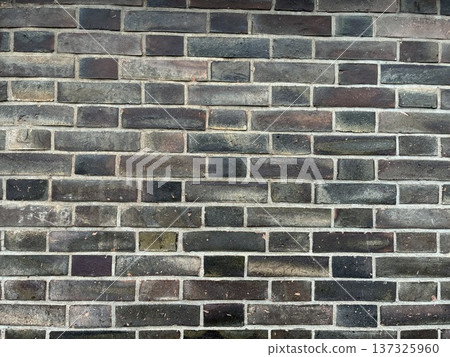 Black brick wall (former Hokkaido Government Office) Black brick wall (former Hokkaido Government Office) 137325960