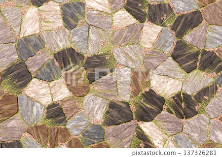 Irregular stone paving texture with moss and grass details 137326281
