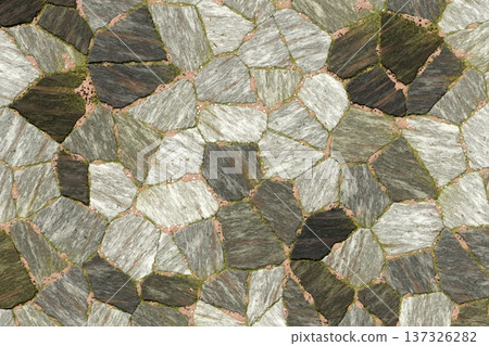 Grey and green slate stone wall texture with moss 137326282