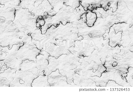 White marble texture with stark dark contrasting cracks and veins. White marble texture with stark dark contrasting cracks and veins. 137326453