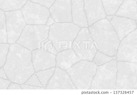 Minimalist white cracked surface texture with large polygonal shapes and subtle gray shadows. 137326457