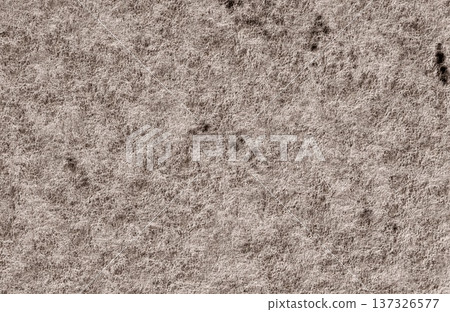 Light brown fibrous material texture background with rough organic woolly surface detail. Light brown fibrous material texture background with rough organic woolly surface detail. 137326577