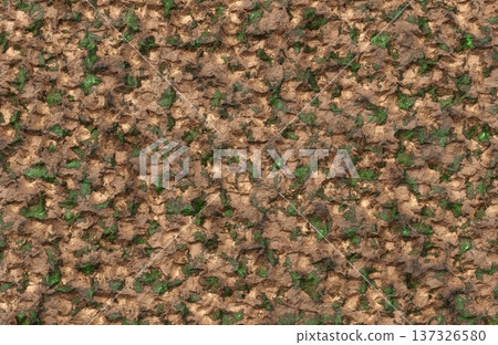 Rough brown earth and green moss rock surface texture for natural landscape concepts. 137326580