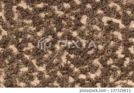 Brown rough terrain dirt and rock surface texture top down view. Brown rough terrain dirt and rock surface texture top down view. 137326611