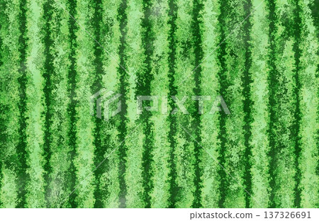 Green striped mottled abstract watermelon rind texture nature background illustration. Green striped mottled abstract watermelon rind texture nature background illustration. 137326691